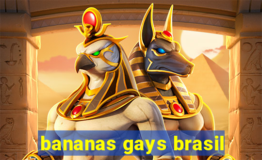 bananas gays brasil